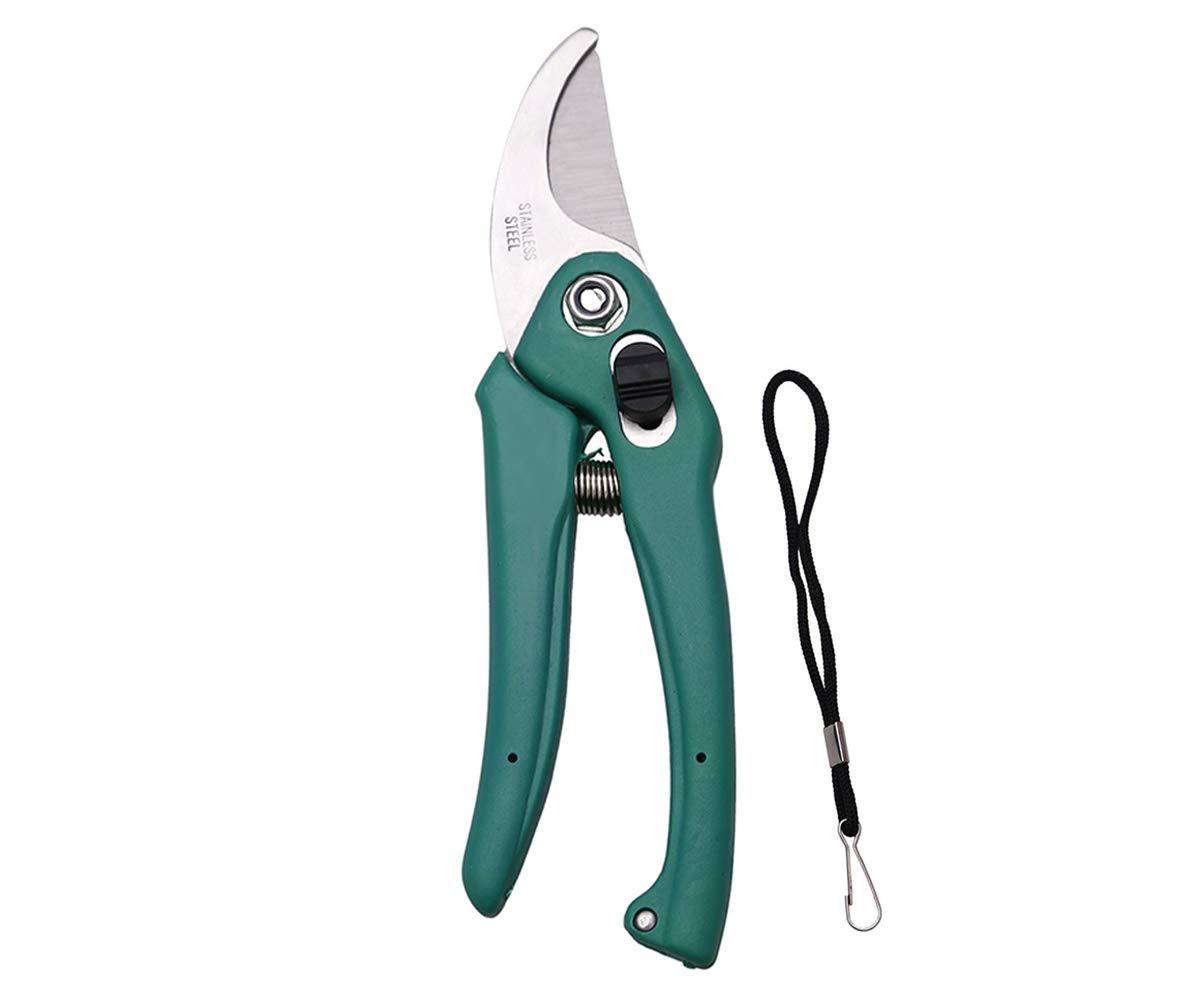 4_2ca5f92e-70e6-452c-a163-858a14f4a493.jpg Rehbarlane Stainless Steel Garden Scissors - Image 1